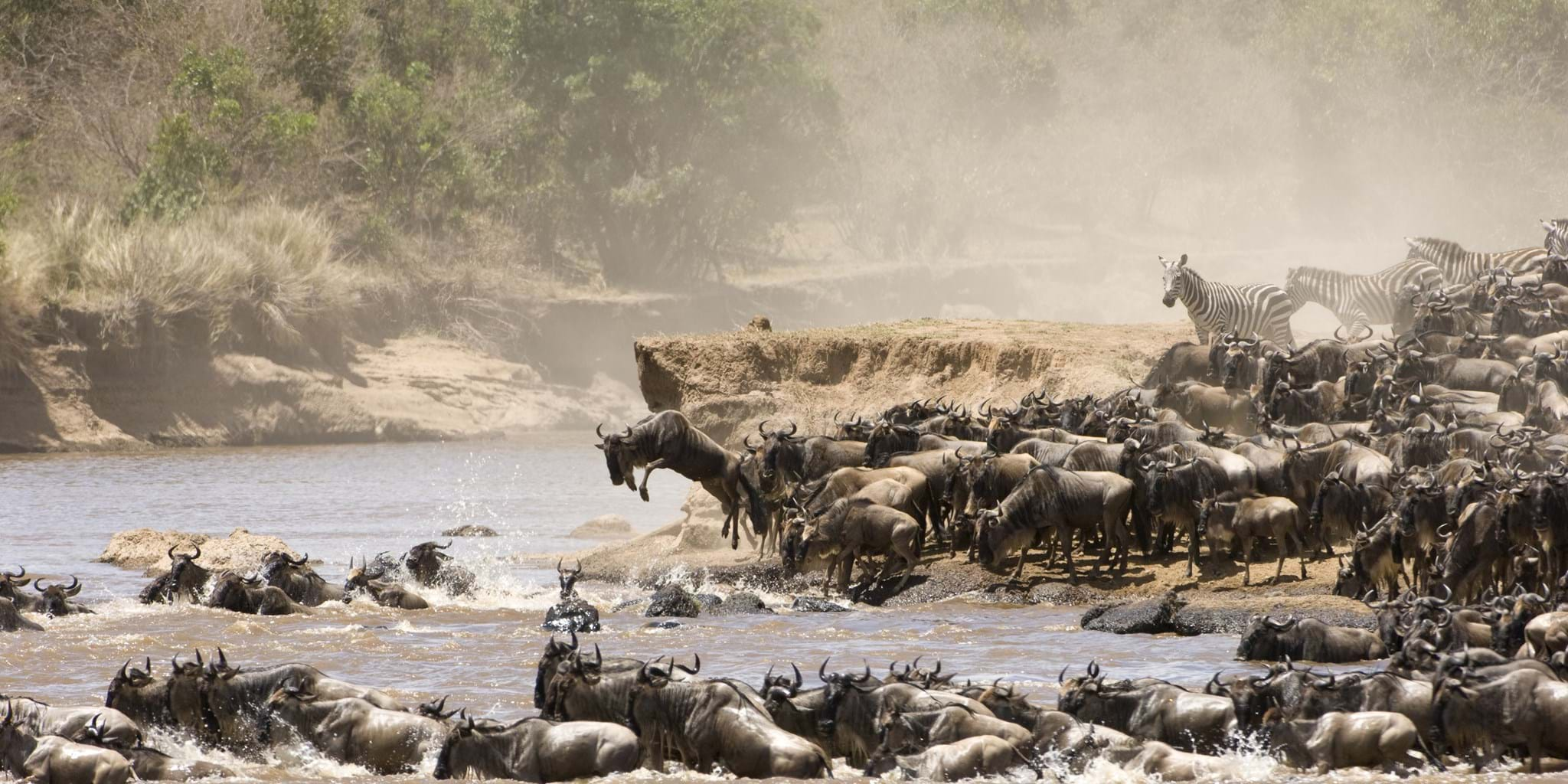 Maasai Mara