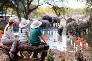 Safari on a Budget: How to Do Masai Mara Without Breaking the Bank 2 Affordable Masai Mara Safari Packages