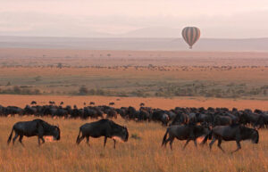 Affordable Masai Mara Safari Packages