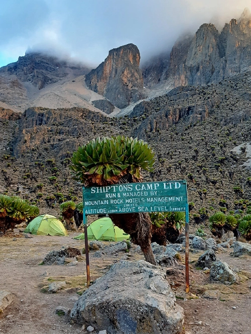 Mt.Kenya National Park Alpine Plant Kingdom