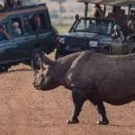 The Ultimate Tanzania Travel Guide Your Gateway to Adventure