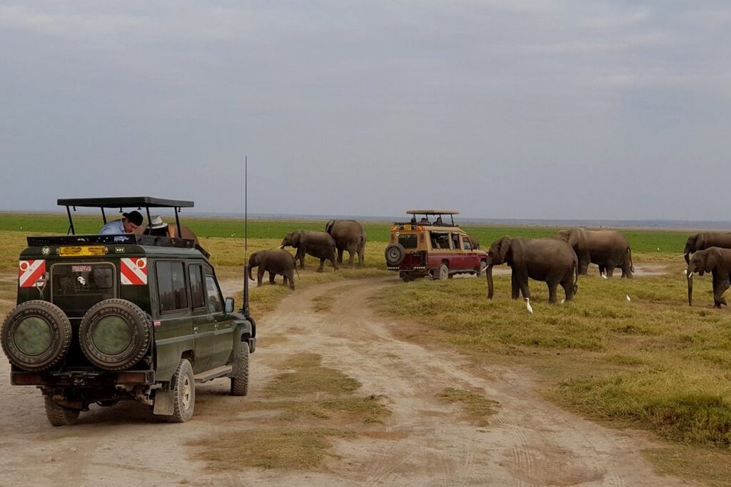 Kenya Wildlife Safri Tours