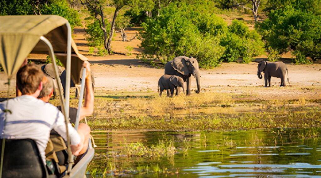 Best Kenya Safari