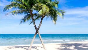Romantic Getaways: Best Honeymoon Destinations in Kenya