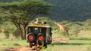 The Ultimate Guide to Kenya’s Big Five: Where and When to Spot Them