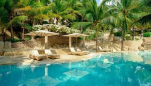 Luxury Safari Camps and Exclusive Beachfront Resorts