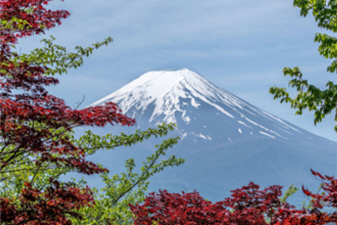 Mount Kenya Tours