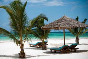 Experience the Best of East Africa’s Wildlife and Beaches with Elwama Tours’ Unique Combination