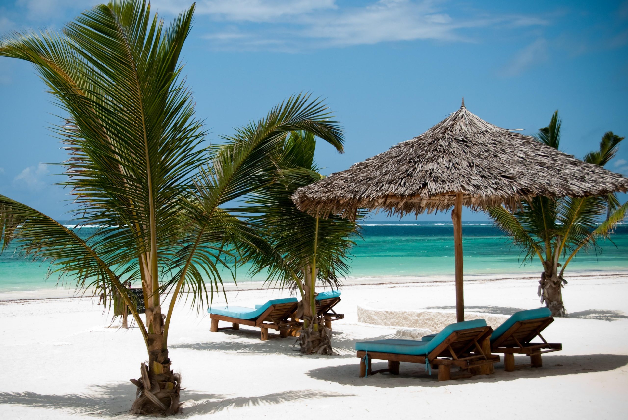 Experience the Best of East Africa’s Wildlife and Beaches with Elwama Tours’ Unique Combination