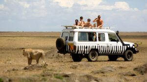 How to Plan the Perfect Kenya Safari: A First-Timer’s Guide